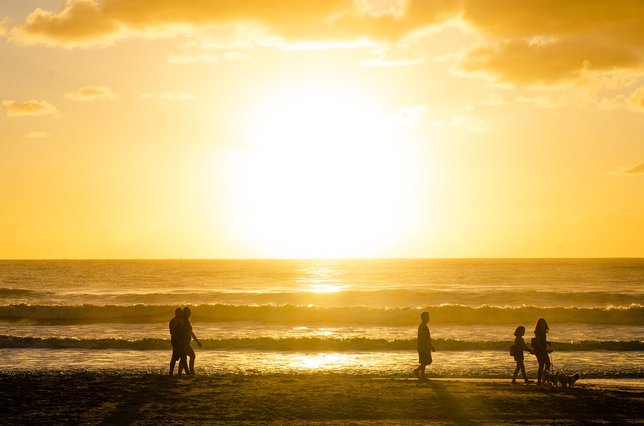 파라다이스도고