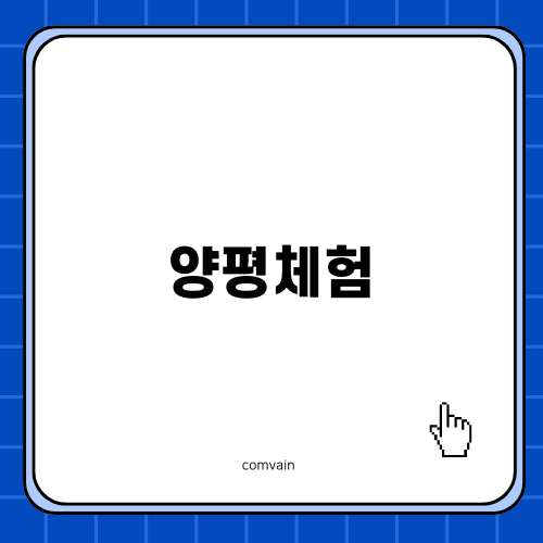 양평체험: 재미 가득한 시간
