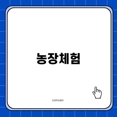 제주도 농장체험과 귤따기