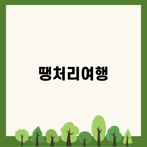 베트남 땡처리여행의 모든 것
