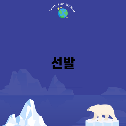선발과 챔피언스리그의 일전