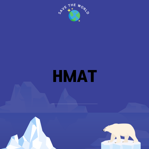 취업 준비와 HMAT 경험담